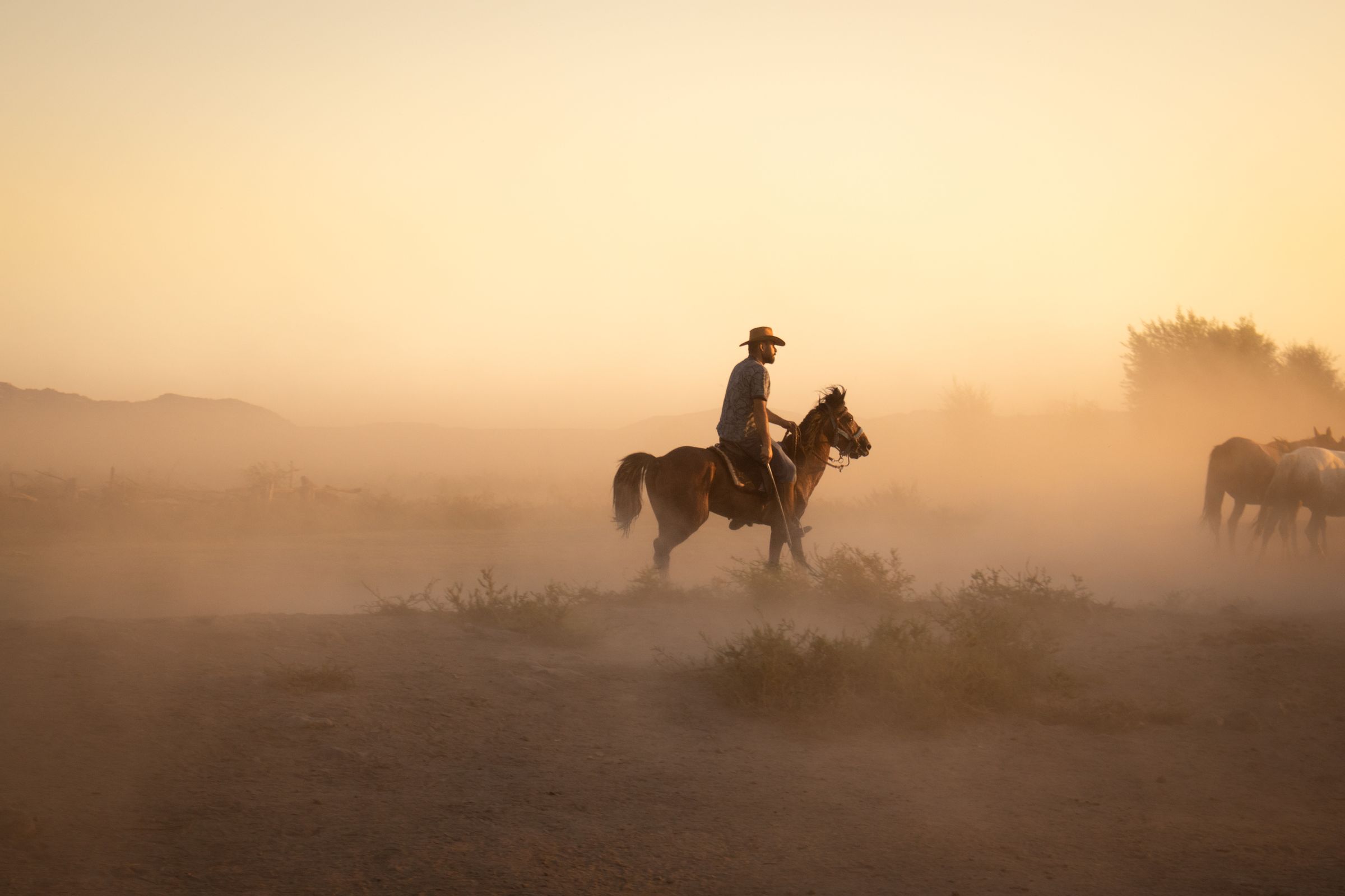 A cowboy on horseback riding through golden dust at sunset