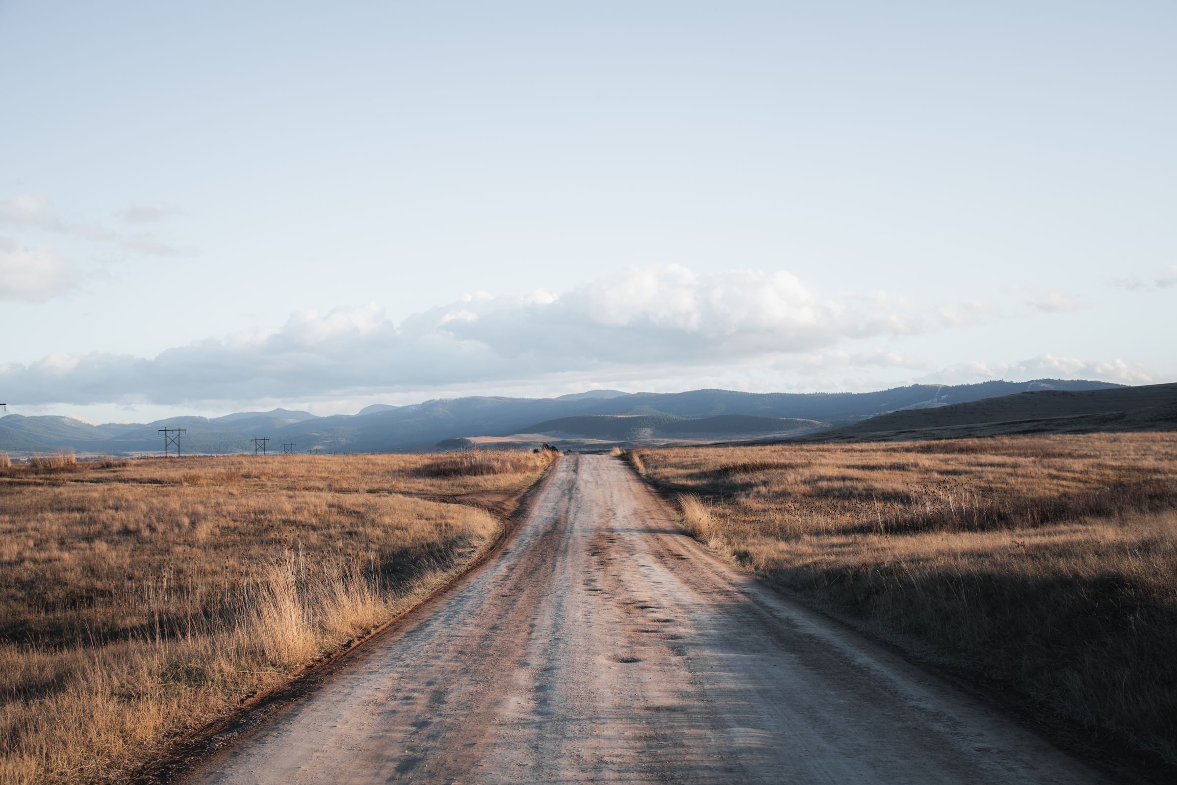 A dirt road running through golden prairie grass toward distant mountains