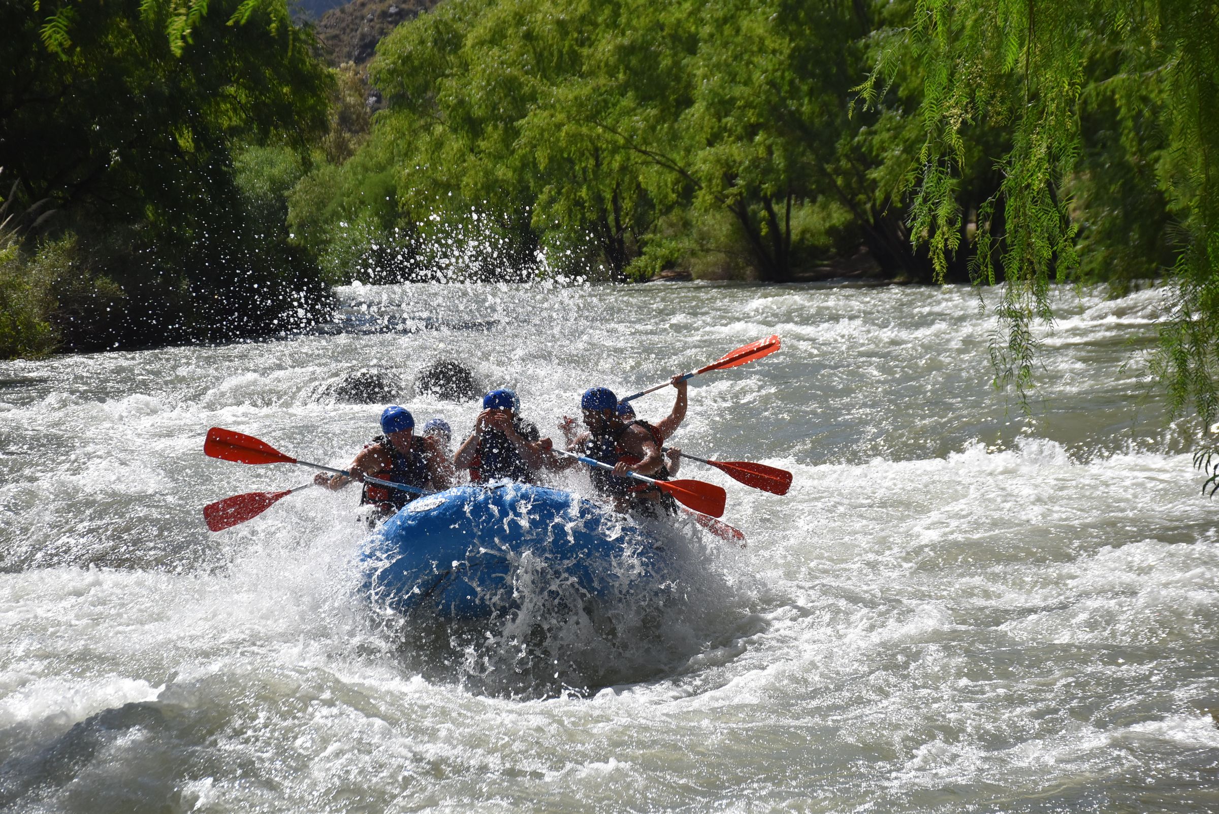 A raft crew paddling through churning whitewater rapids