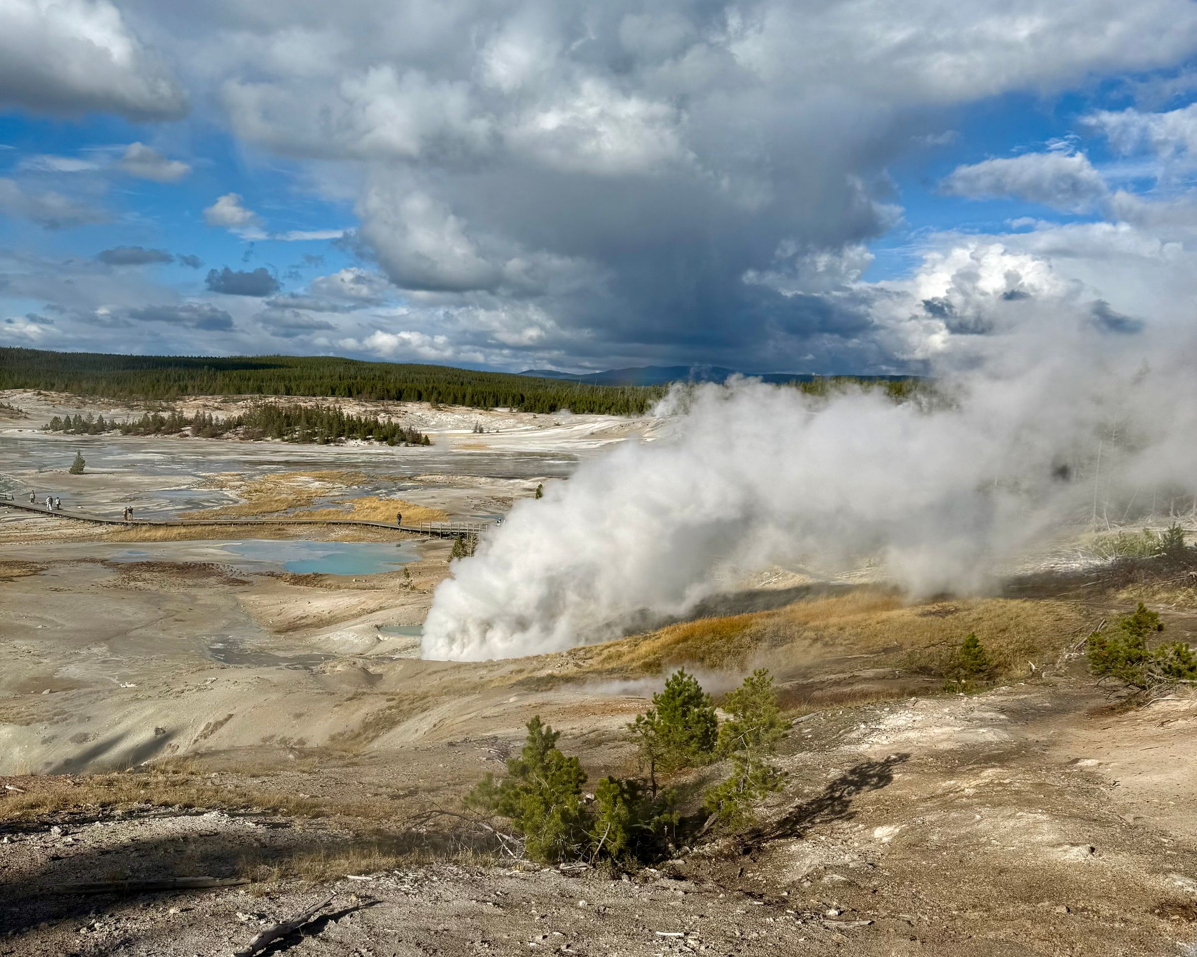 Steam rising from a geyser basin in Yellowstone under heavy clouds